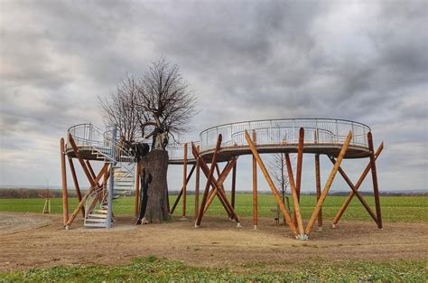 Vyhlídkový chodník v korunách lip u Čisté